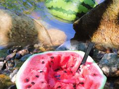 -姚家山旅游风景区