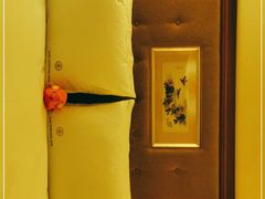 -惠州康帝国际酒店