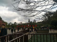 -邓小平故里