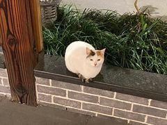 -少林功夫文化中心·独门独院