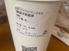 -沪上阿姨·精选茶饮(桃源友嘉购物广场店)