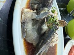 -小海豚•老字号海鲜餐厅(天涯店)