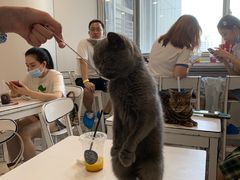 -白夜2D咖啡馆