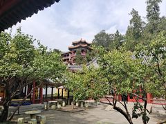 -宫事颐庭·老佛爷贵寿下午茶(颐和园店)