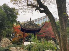 -上海醉白池公园