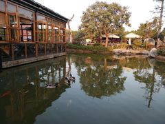 -花溪雨·森林餐厅(石基店)