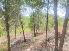 -北京西山国家森林公园