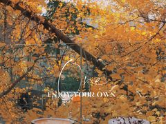 -腾爱熊猫咖啡生活馆(老东门店)