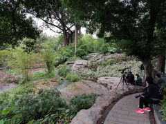 -晓港公园