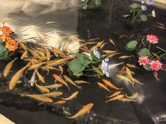 -千岛湖鱼味馆(十字街总店)