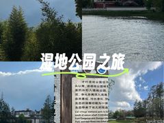 -才村湿地公园
