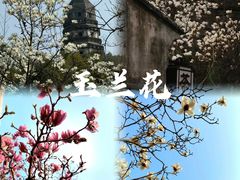 -虎丘山风景名胜区