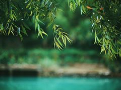 -千岛湖九龙溪漂流