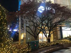 -乐天免税店(明洞店)