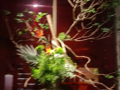 -星·South Beauty·俏江南(国贸店)