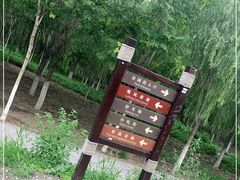 -西青郊野公园