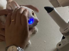 -御宝贝24h宠物医院·转诊中心·CT核磁血透中心(厦门总院)