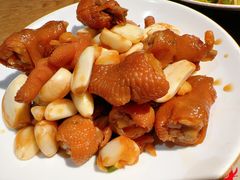 -鸽子窝(青塔店)