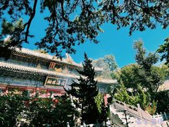 -潭柘寺景区