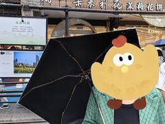 -好一朵茉莉花(老门东店)