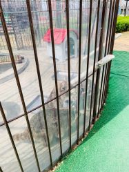 -萌宠亲子动物乐园(槐房万达店)