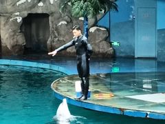 -苏州海洋馆