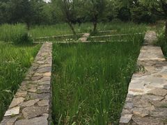 -贵阳市花溪国家城市湿地公园