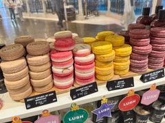 -LUSH(威尼斯人店)