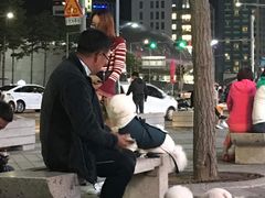 -东大门市场