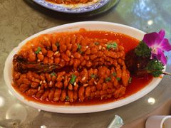 松鼠鱼-金牌餐厅·天津菜·八珍豆腐·老爆三(瓷房子店)