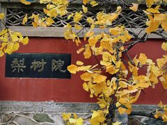 -潭柘寺景区