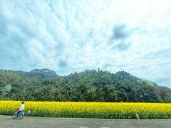 -贵阳市花溪国家城市湿地公园