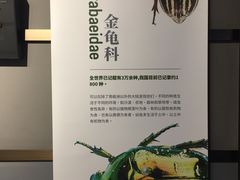 -成都百丽宫影城(LUXE太古里店)