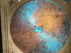 -上海昆虫博物馆