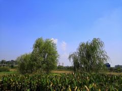 -那考河湿地公园