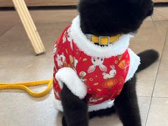 -艾贝尔宠物医院·狂犬免疫点(江山金象城店)
