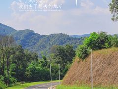 -黄埔油麻山森林公园