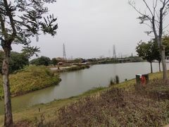 -王借岗森林公园