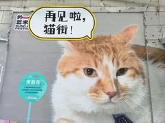 -方浜中路45弄小区