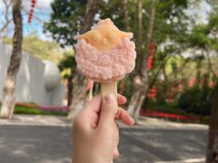 -广州市白云山风景名胜区