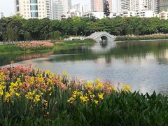-南宁南湖公园