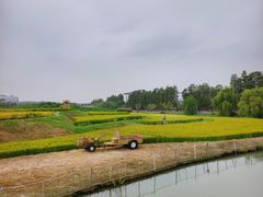 -乌村