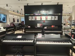 -雅歌音乐培训中心·钢琴培训·乐器培训(交道口店)