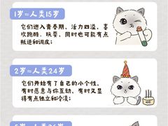 -爱侣宠医·鹦鹉专科·小型哺乳类·异宠专科(灵石路店)