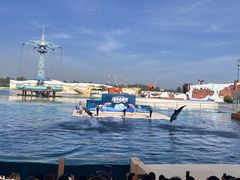 -秦皇岛乐岛海洋王国