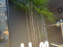 -W COLLECTIVE  DESSERT SHOP