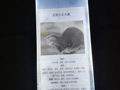 -临沂极地海洋王国