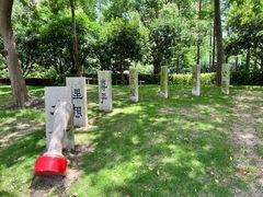 -陈家山荷花公园