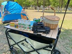 -长白岛森林公园