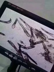 -痘院长·祛痘·皮肤管理